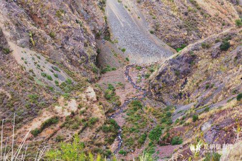 隐形山谷,神秘自然奇观的神秘面纱