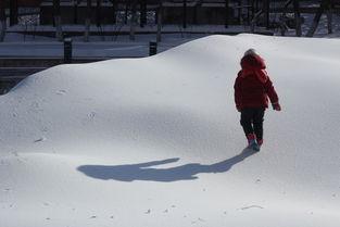 雪滚者 - 公司之旅 II,探索创新与团队精神的升华之旅