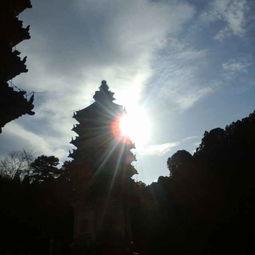 云烟过眼，总成空（云烟过眼总成空）