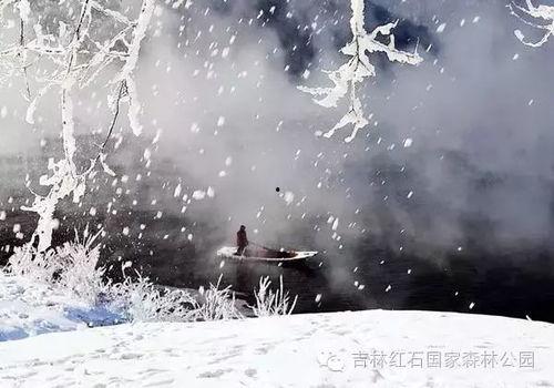 七载霜华：我于风雪中绽放,风雪中的坚韧绽放